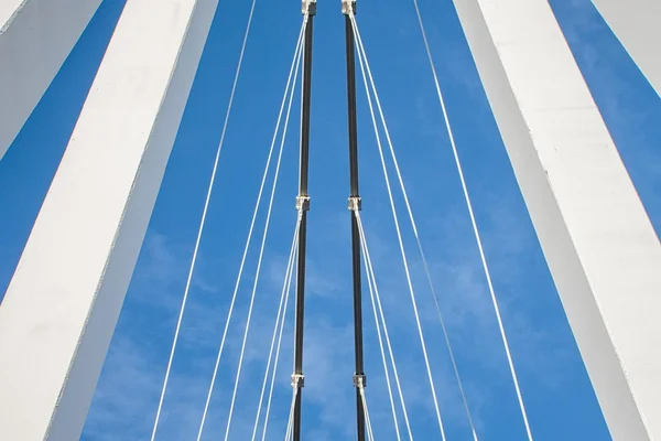 c7娱乐真人娱乐